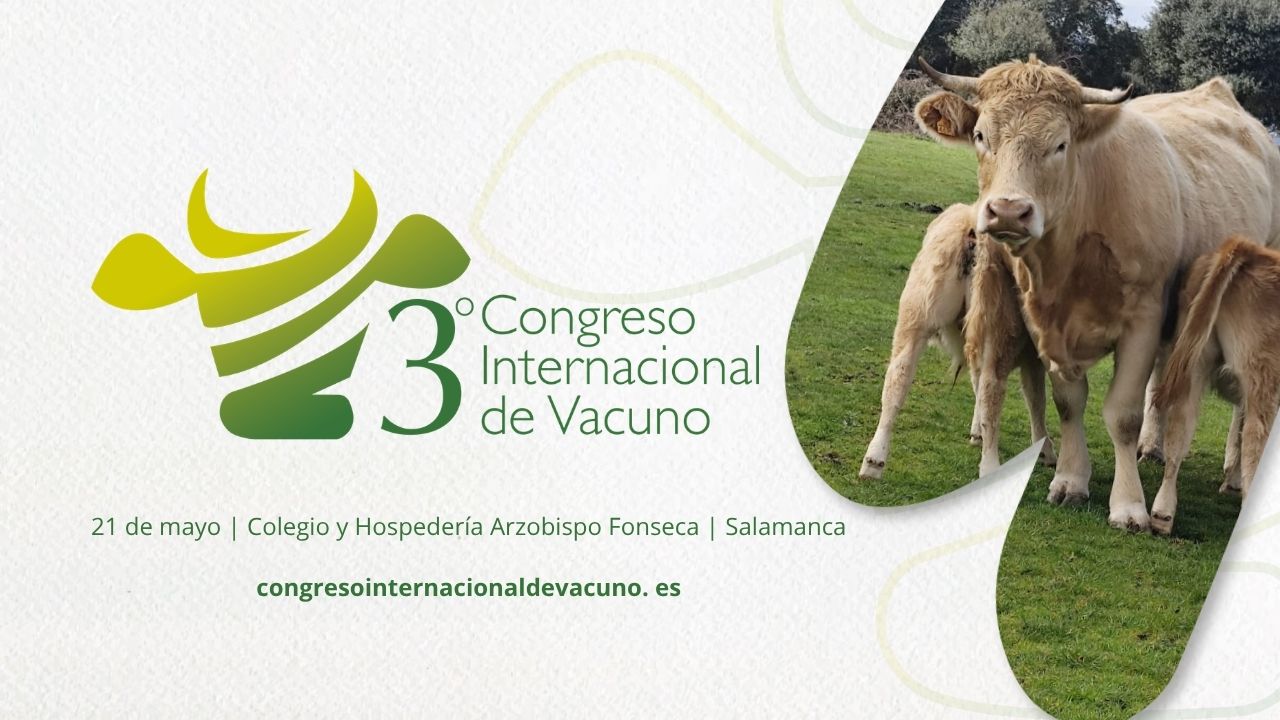 imagen principal noticia